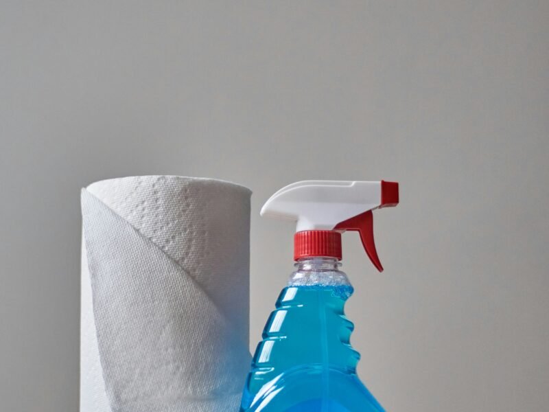 Home cleaning services