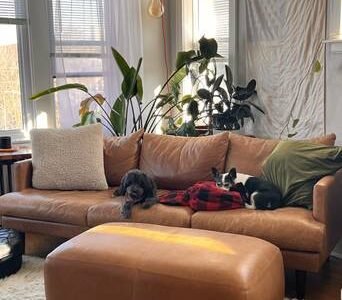 2br - Sublease